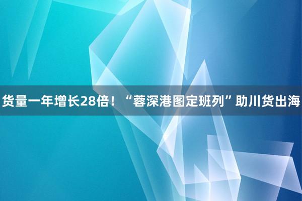 货量一年增长28倍！“蓉深港图定班列”助川货出海