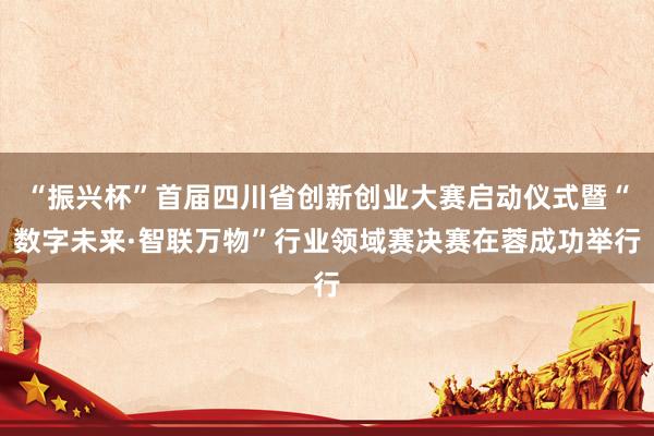 “振兴杯”首届四川省创新创业大赛启动仪式暨“数字未来·智联万物”行业领域赛决赛在蓉成功举行