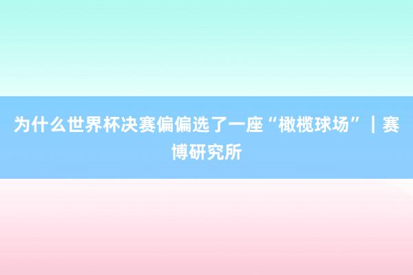 为什么世界杯决赛偏偏选了一座“橄榄球场”｜赛博研究所