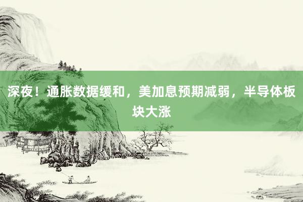 深夜！通胀数据缓和，美加息预期减弱，半导体板块大涨