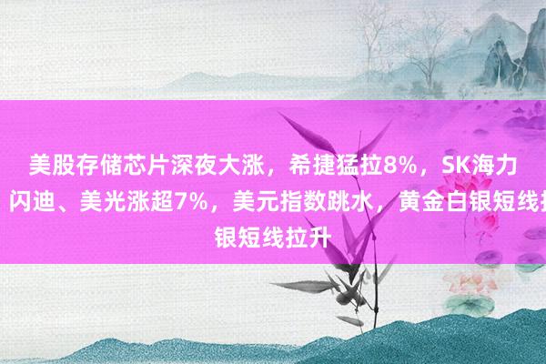 美股存储芯片深夜大涨，希捷猛拉8%，SK海力士、闪迪、美光涨超7%，美元指数跳水，黄金白银短线拉升