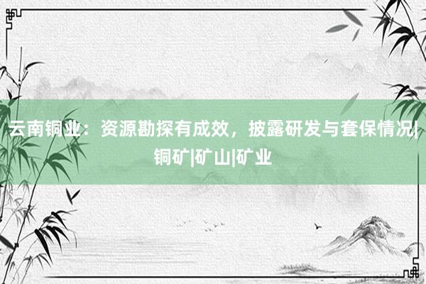 云南铜业：资源勘探有成效，披露研发与套保情况|铜矿|矿山|矿业