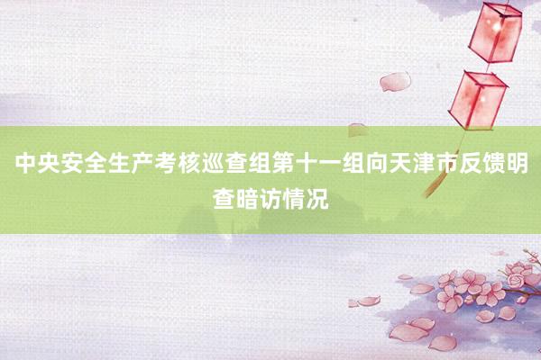 中央安全生产考核巡查组第十一组向天津市反馈明查暗访情况