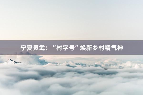 宁夏灵武：“村字号”焕新乡村精气神