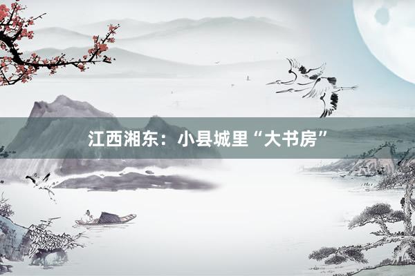 江西湘东：小县城里“大书房”