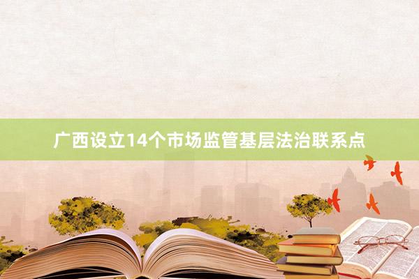 广西设立14个市场监管基层法治联系点