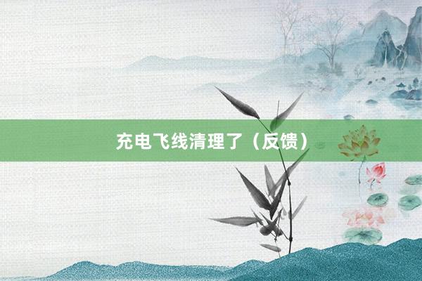 充电飞线清理了（反馈）