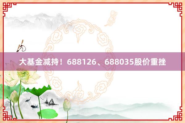 大基金减持！688126、688035股价重挫