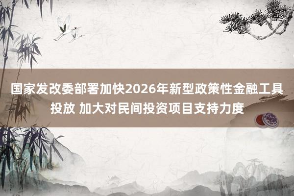 国家发改委部署加快2026年新型政策性金融工具投放 加大对民间投资项目支持力度