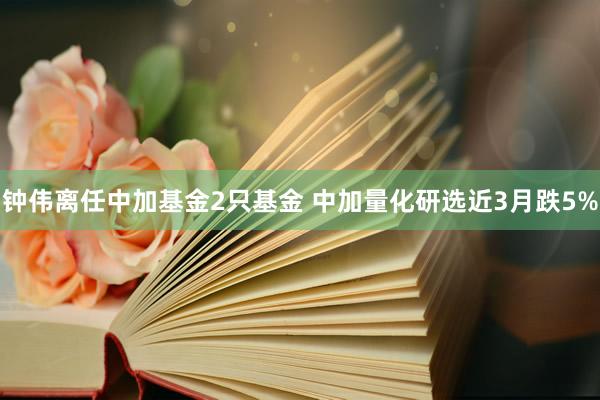 钟伟离任中加基金2只基金 中加量化研选近3月跌5%