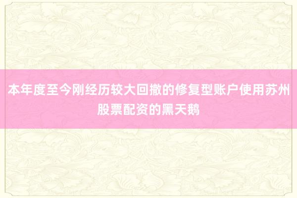 本年度至今刚经历较大回撤的修复型账户使用苏州股票配资的黑天鹅