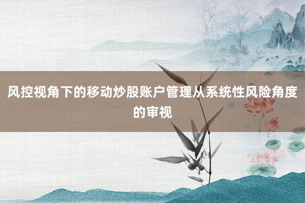 风控视角下的移动炒股账户管理从系统性风险角度的审视