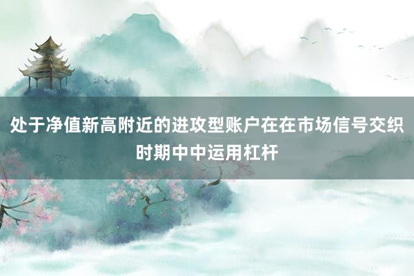 处于净值新高附近的进攻型账户在在市场信号交织时期中中运用杠杆