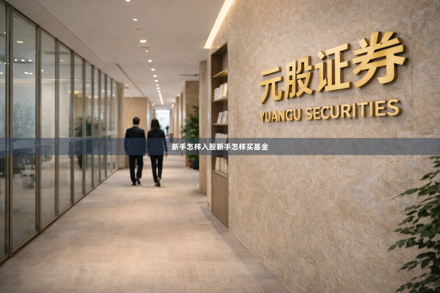 新手怎样入股新手怎样买基金