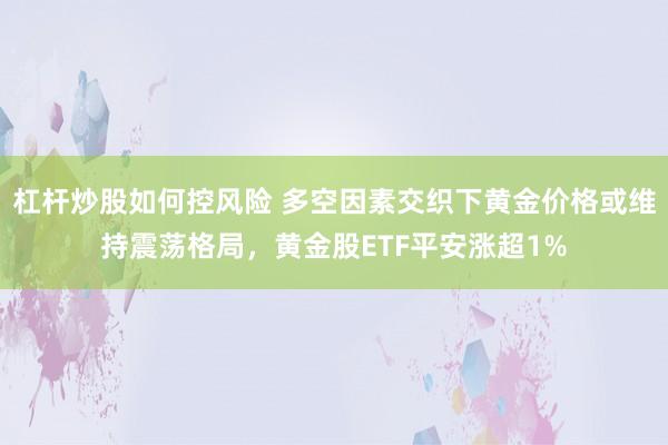 杠杆炒股如何控风险 多空因素交织下黄金价格或维持震荡格局，黄金股ETF平安涨超1%