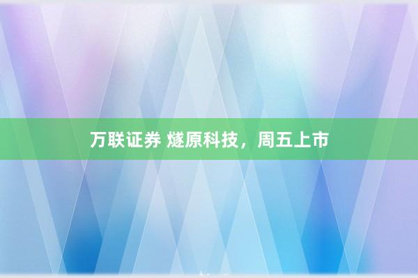 万联证券 燧原科技，周五上市