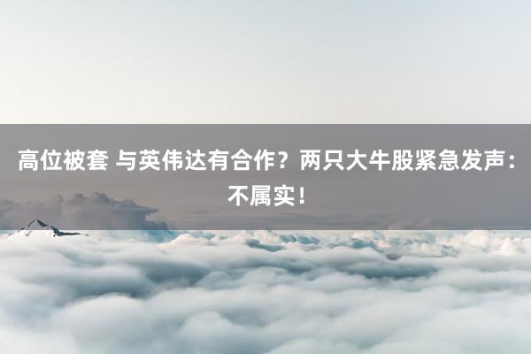 高位被套 与英伟达有合作？两只大牛股紧急发声：不属实！