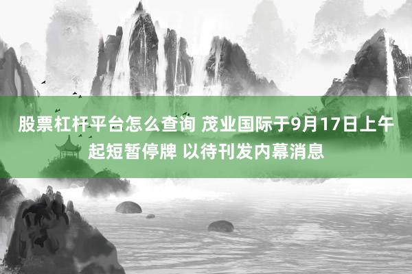 股票杠杆平台怎么查询 茂业国际于9月17日上午起短暂停牌 以待刊发内幕消息