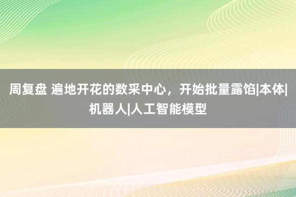 周复盘 遍地开花的数采中心，开始批量露馅|本体|机器人|人工智能模型