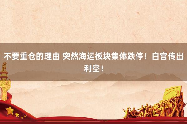 不要重仓的理由 突然海运板块集体跌停!白宫传出利空!